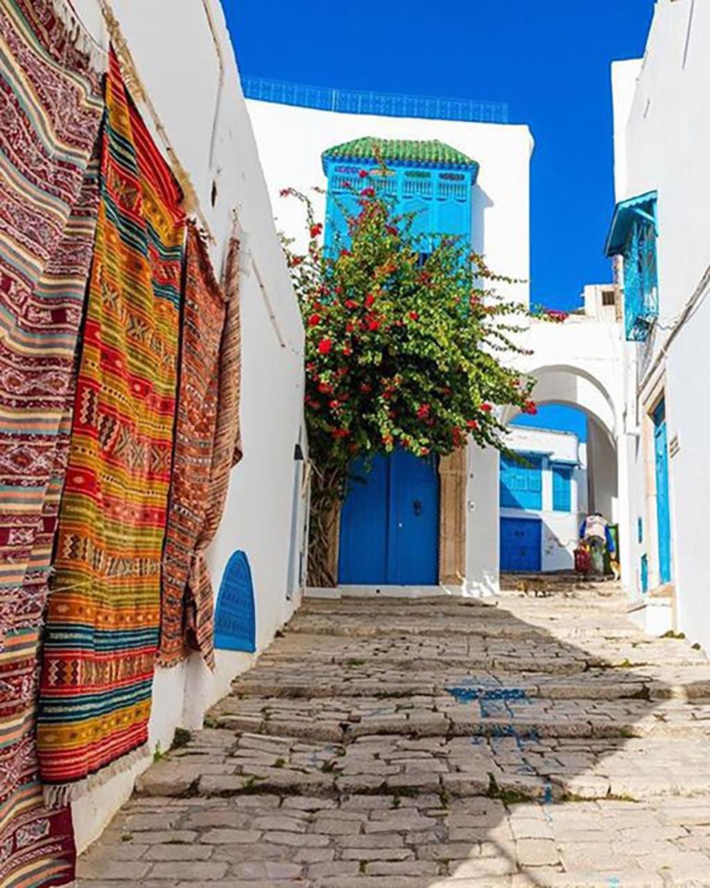Cosy Apartment In Sidi Bou Said Village Екстер'єр фото